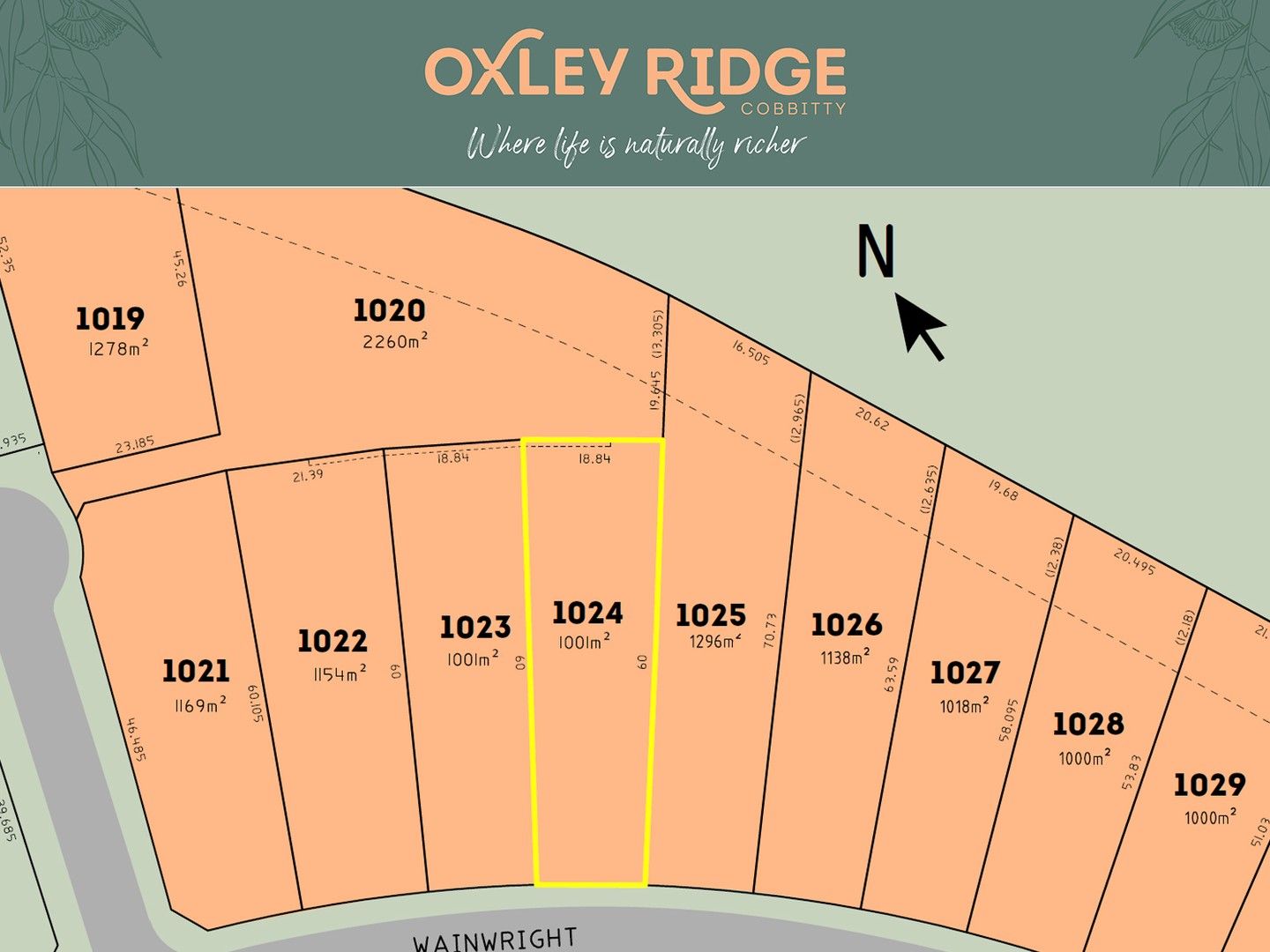 New land in Lot 1024 Wainwright Drive, COBBITTY NSW, 2570