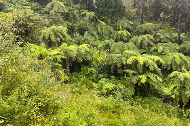 Picture of WENTWORTH FALLS NSW 2782