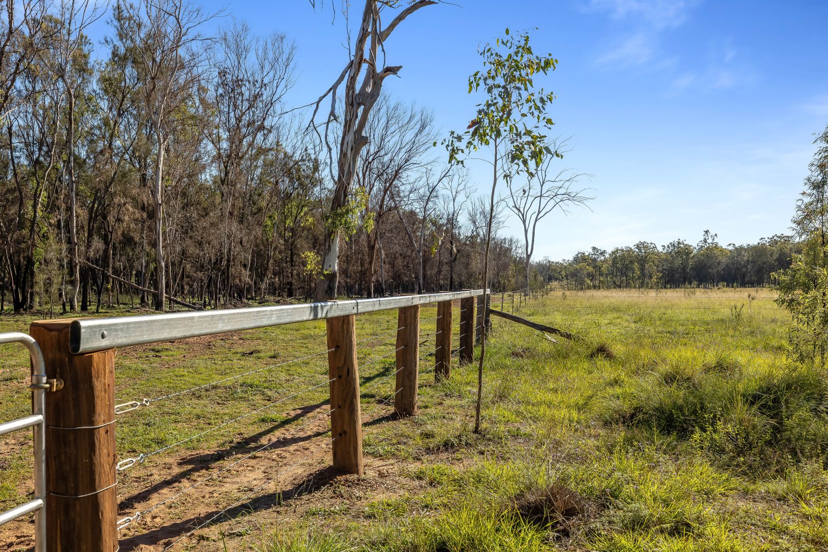 Lot 1 Harrigan Road, Sandy Camp QLD 4361, Image 2