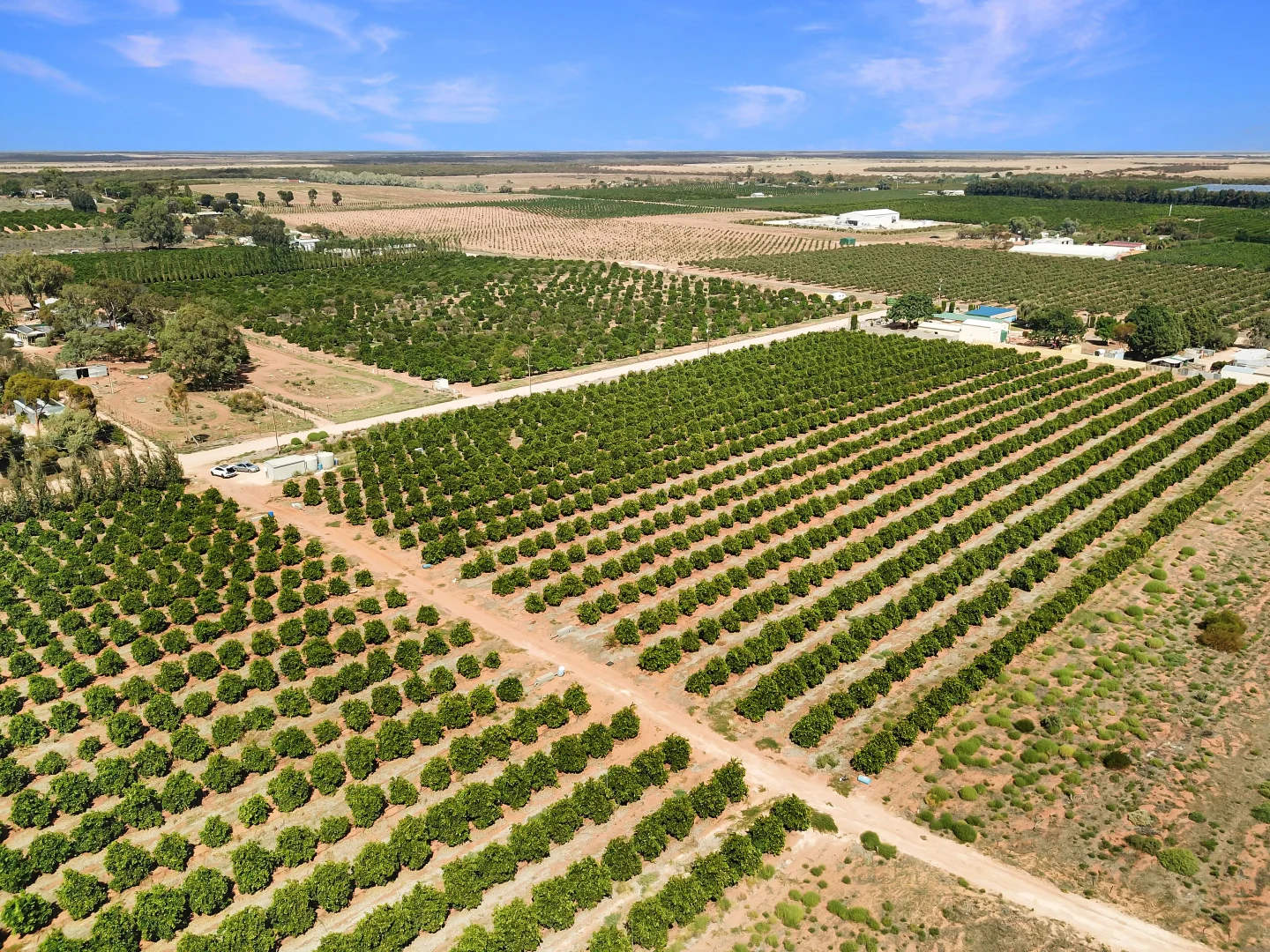 Additional image 9 of Lot 80 Foster Road, Sunlands SA 5322