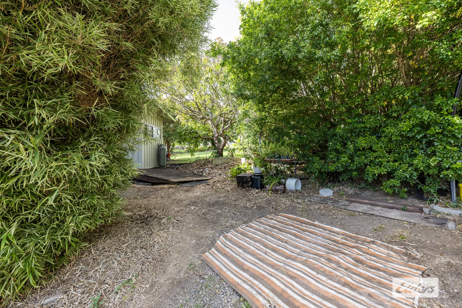 Image 15