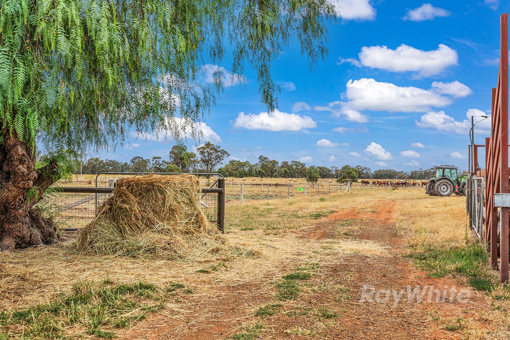 1835 Lilford Road, Merrigum VIC 3618, Image 2