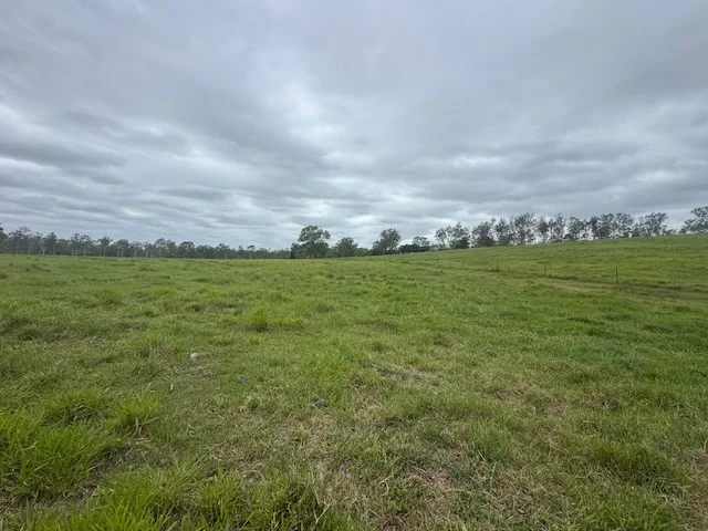 Image 14