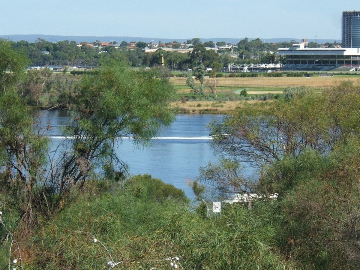 2/3 Thirlmere Road, Mount Lawley WA 6050 Apartment For Rent Domain