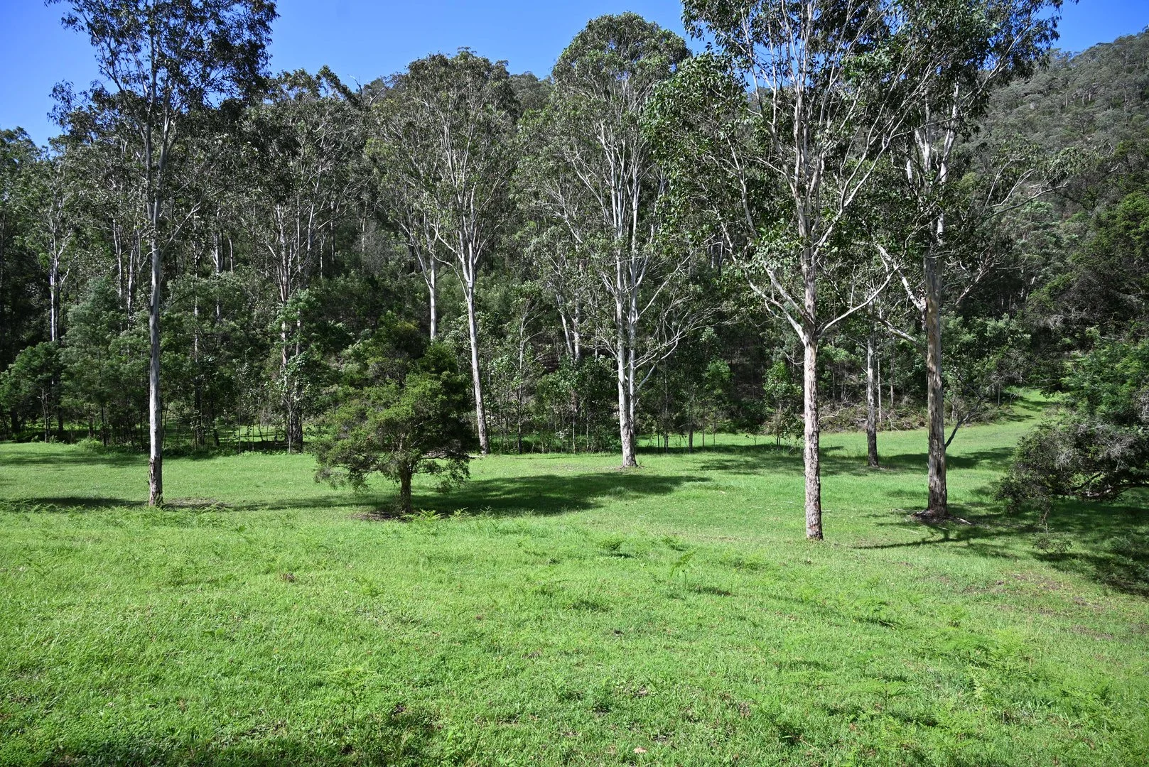 Additional image 12 of Upper Yango Ck Rd, Laguna NSW 2325