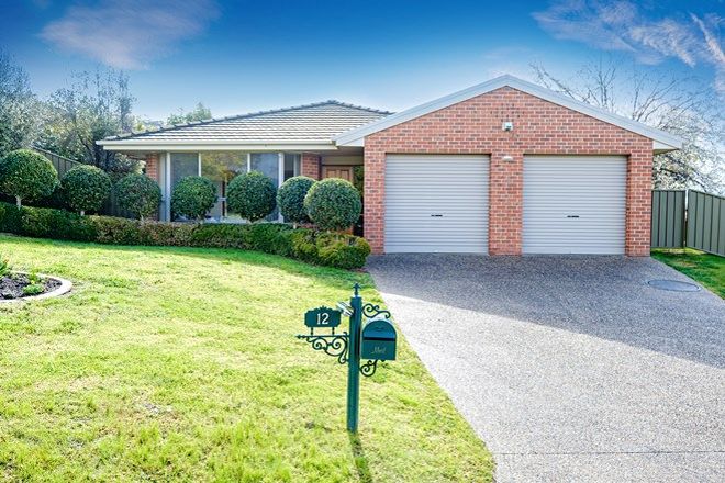 326 Real Estate Properties For Sale In East Albury Nsw 2640 Domain