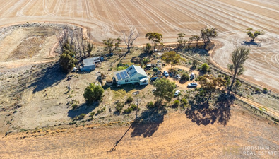 Picture of 199 Olney-Zass Road, BERRIWILLOCK VIC 3531