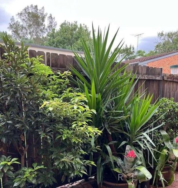1 bedrooms House in 10 Higginbotham Road GLADESVILLE NSW, 2111