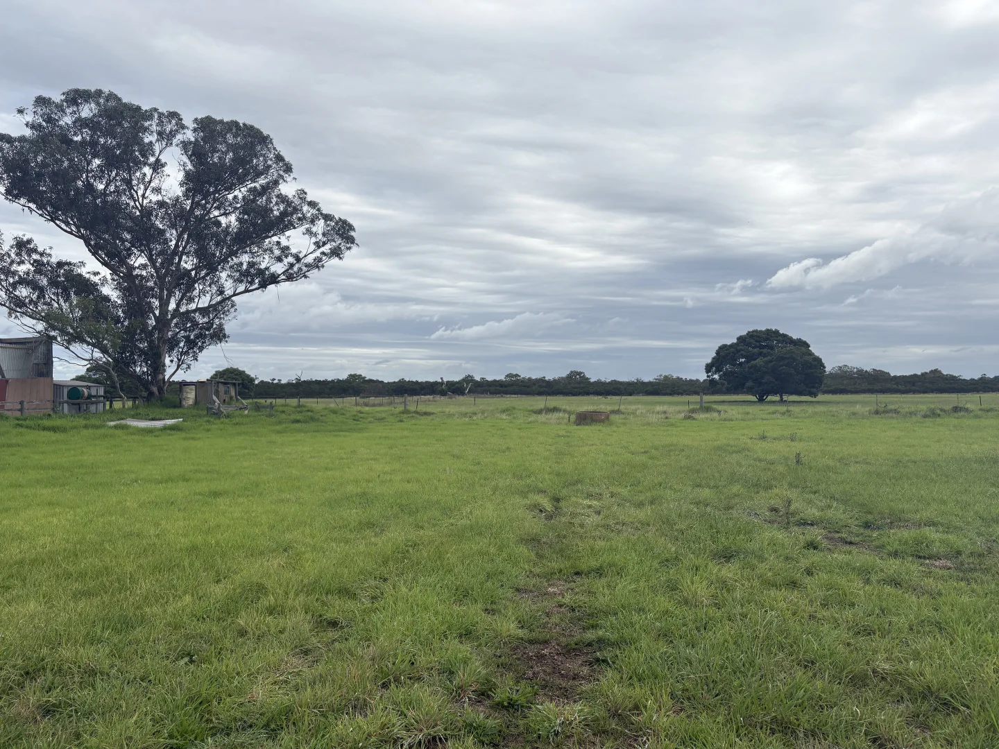 Image 16
