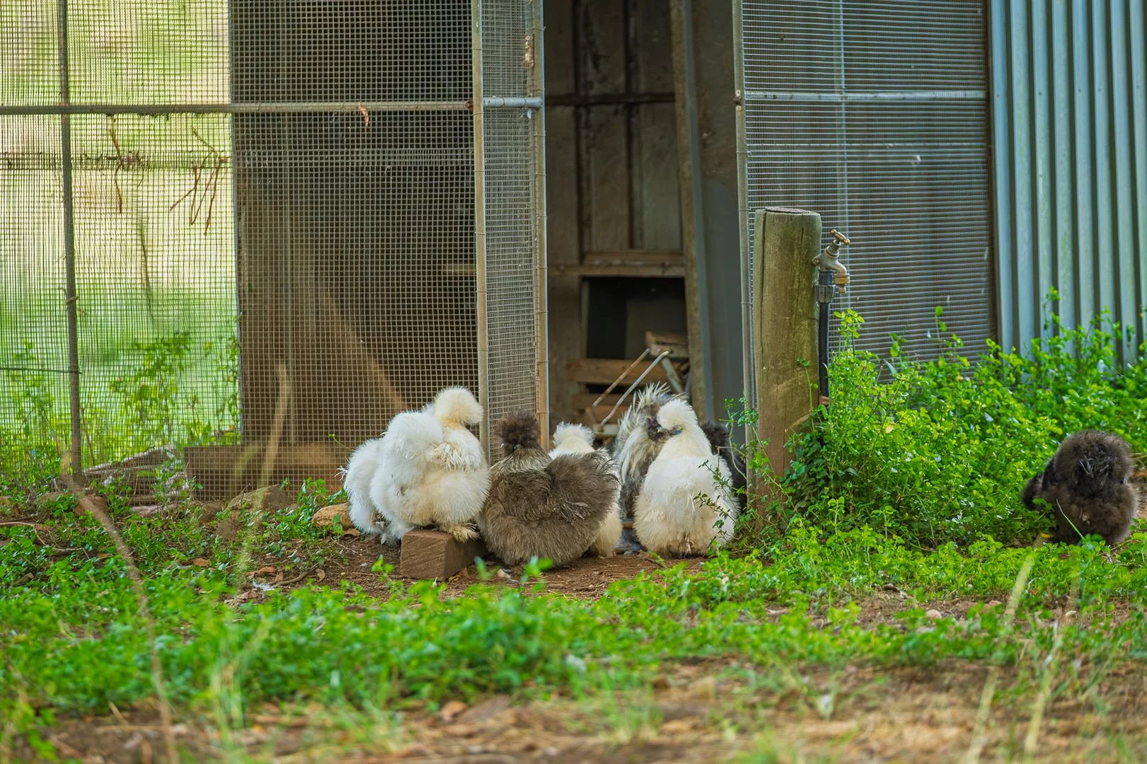 Additional image 44 of 40 McGinn Road, Gheerulla QLD 4574