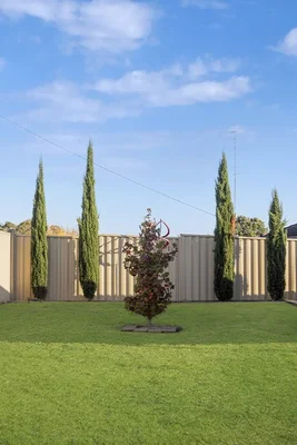 Additional image 3 of 51 Mount Baimbridge Road, Hamilton VIC 3300