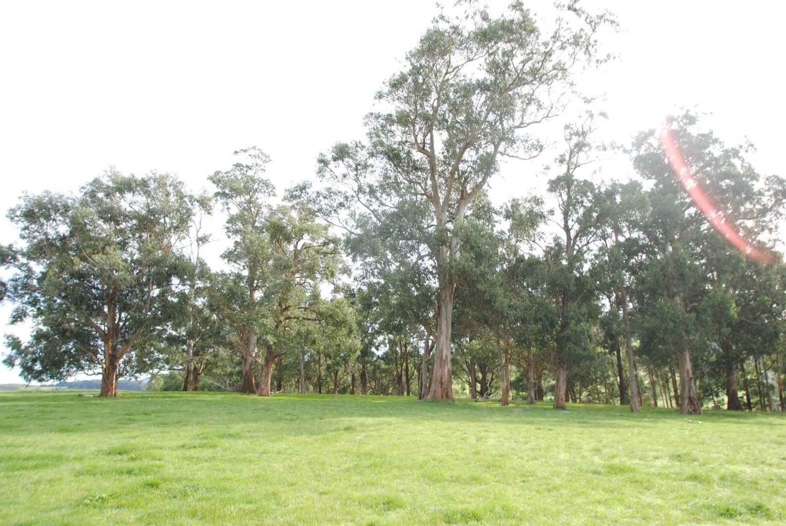 Lot 1 DAWSONS RD, Hallston VIC 3953, Image 1