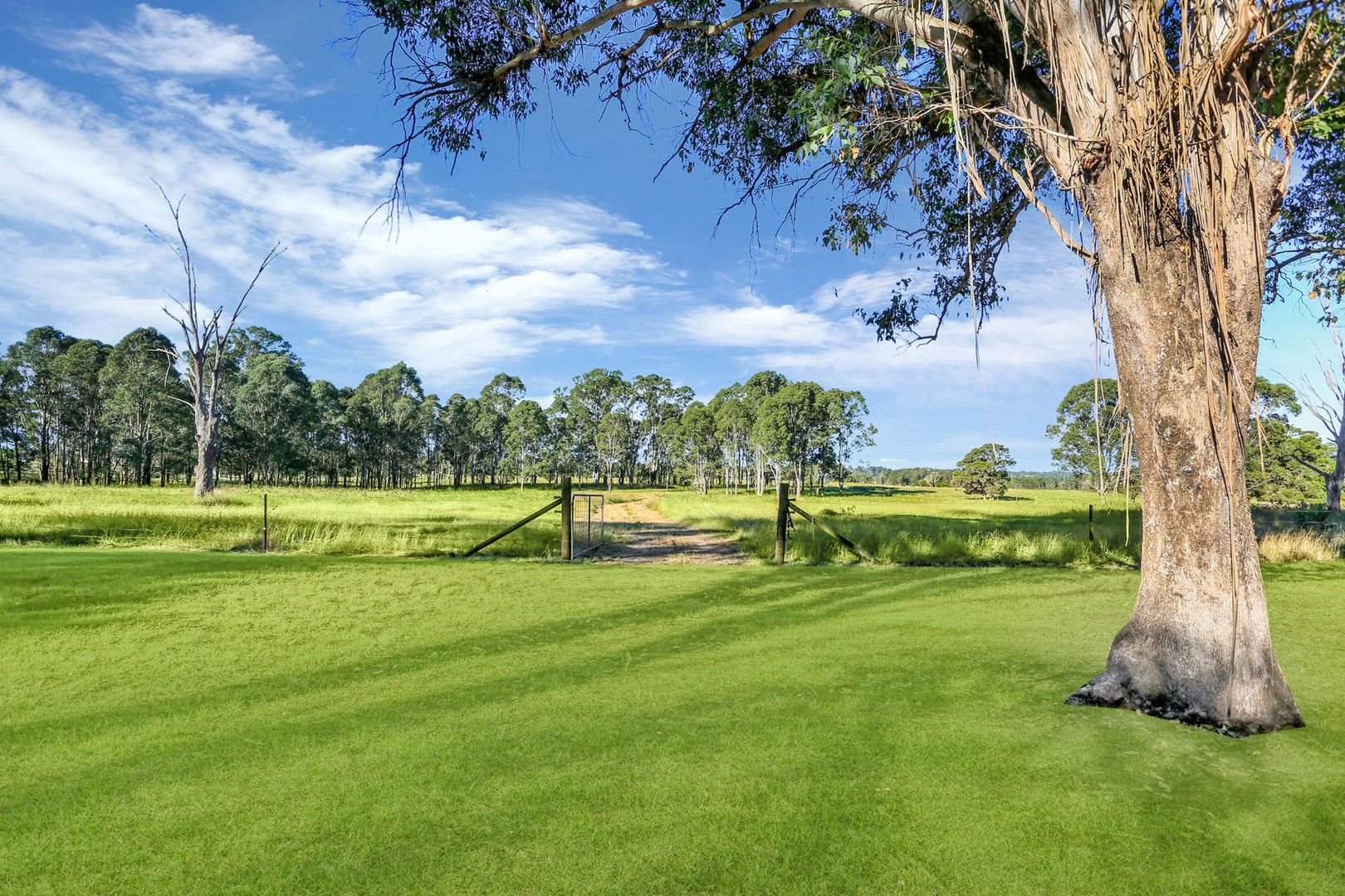 326 Fairey Road, South Windsor NSW 2756, Image 0