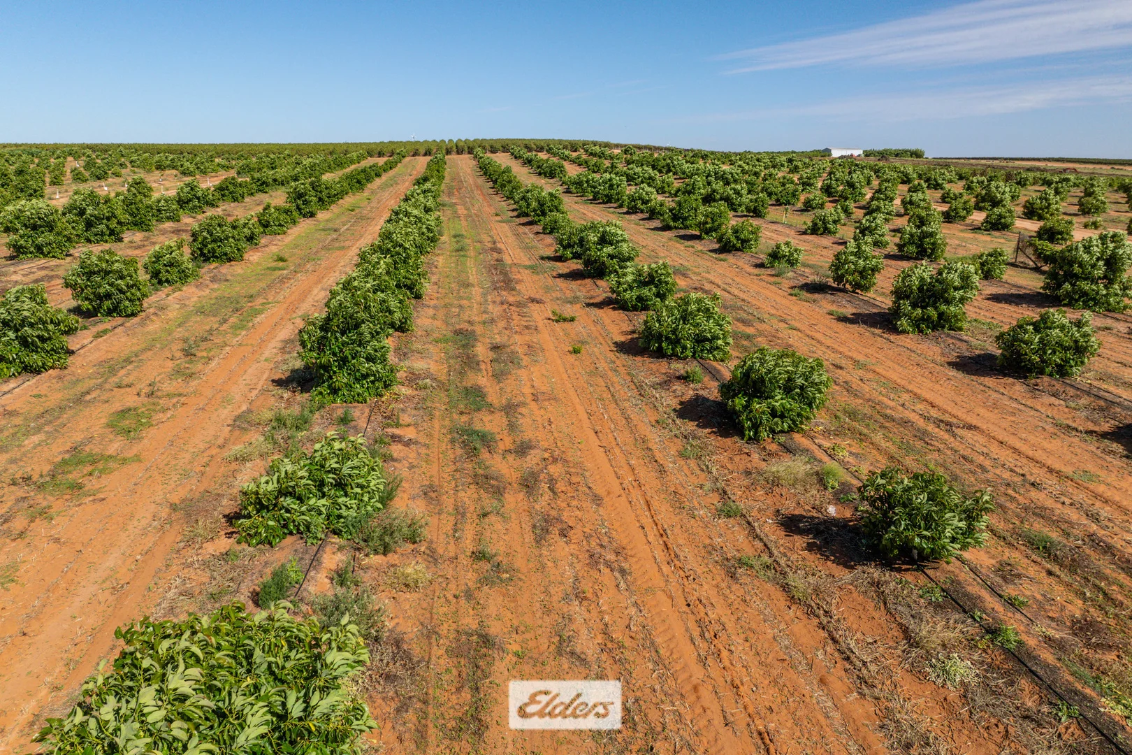 Additional image 30 of 135 Red Hill Road, Pomona NSW 2648