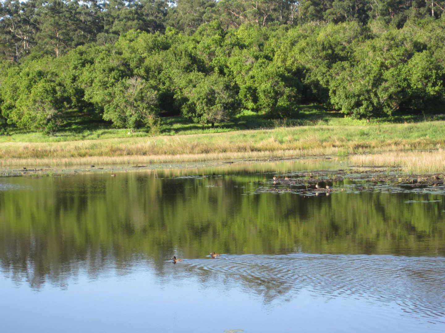 Ringtail Creek QLD 4565, Image 1