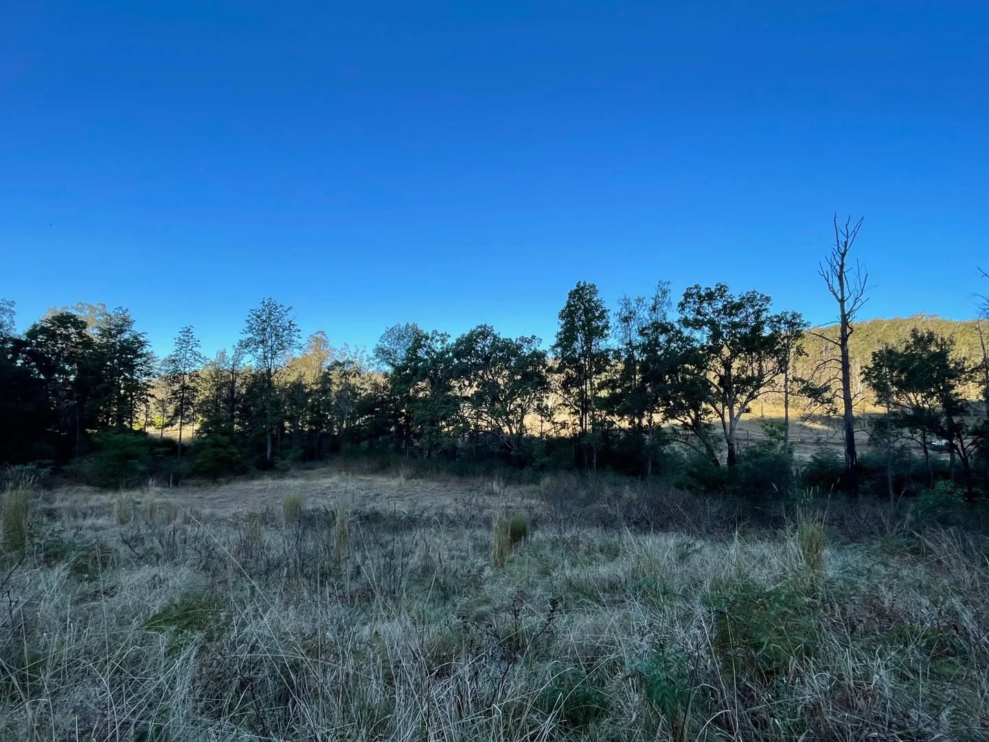 Additional image 4 of Lot 62 Armidale Road, Blaxlands Creek NSW 2460