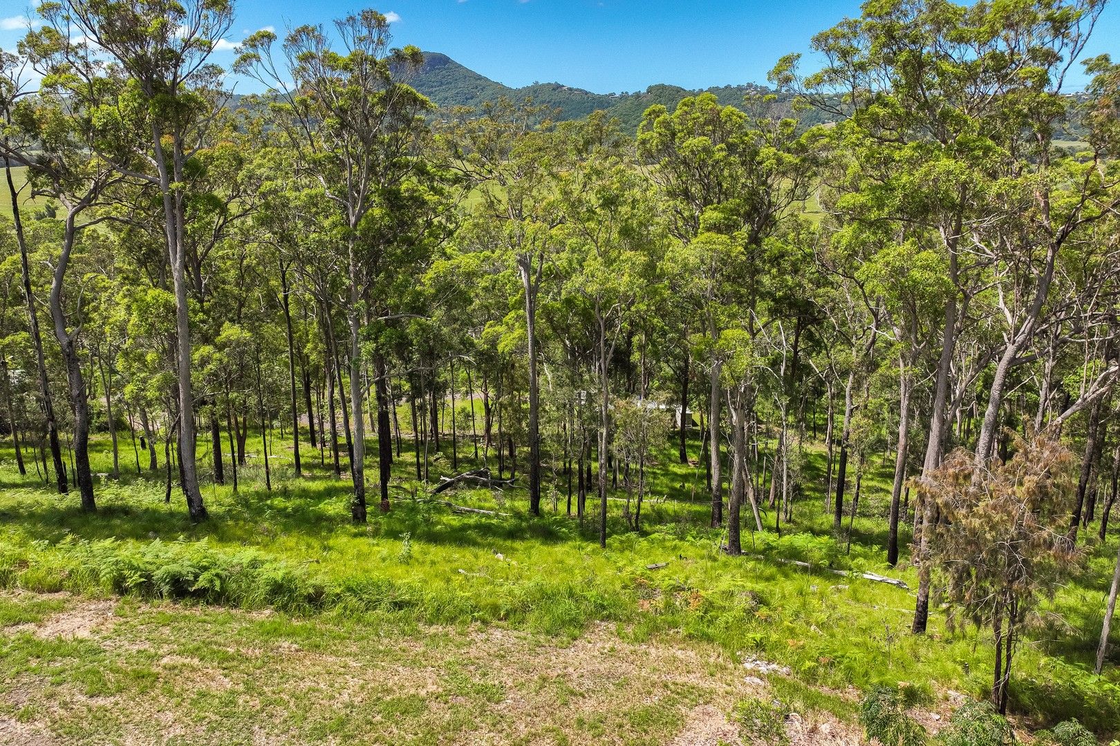 40 Rocky Creek Forest Road, Maroochy River QLD 4561, Image 0