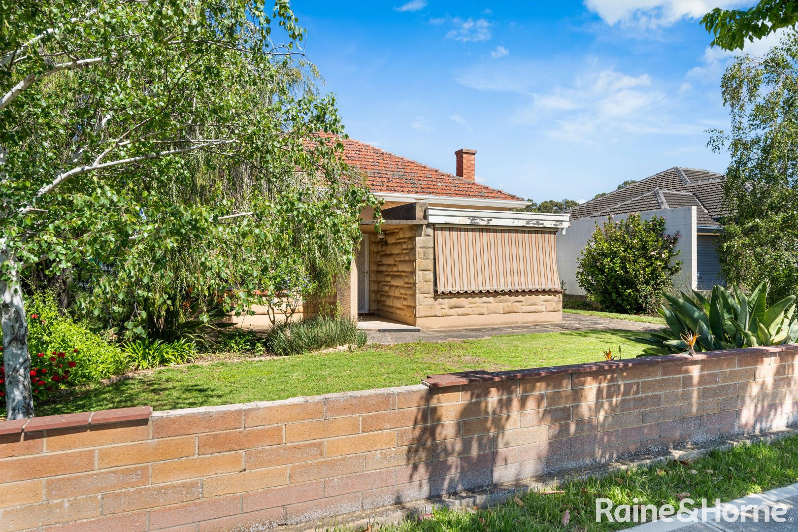 41 Wright Street, Renown Park SA 5008, Image 2