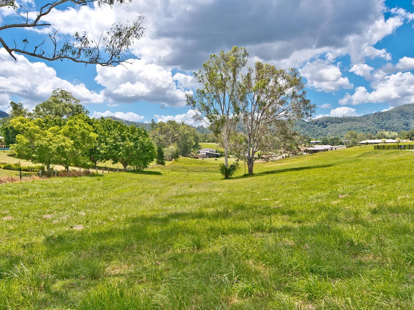 8 Angshelle Court, Samford Valley QLD 4520, Image 2
