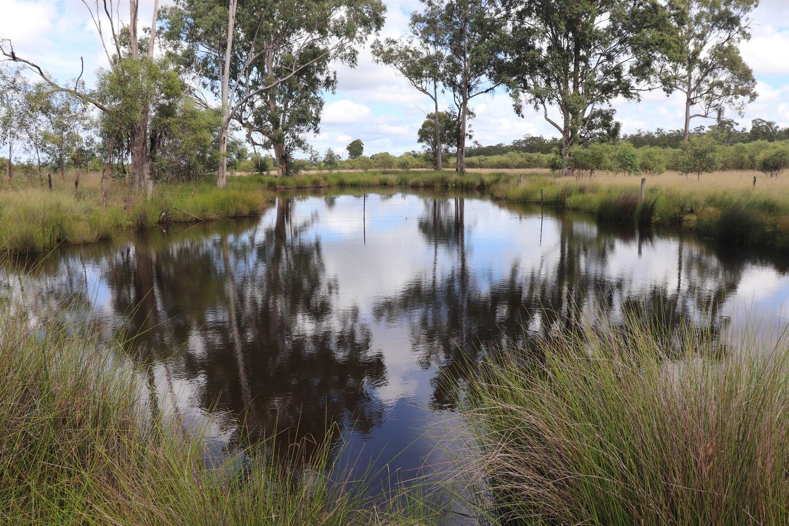 'Spotted Gum' 2845 Burra Burri Road, Jandowae QLD 4410, Image 0