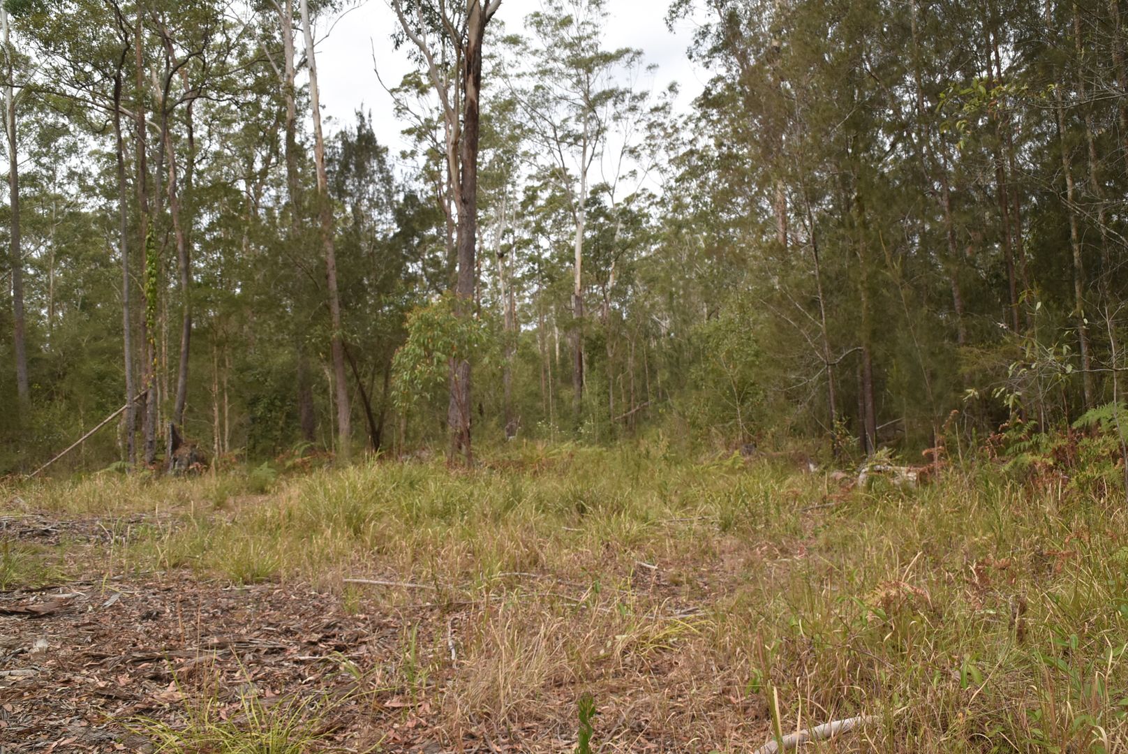 30 Brushgrove Park Road, Nabiac NSW 2312 Vacant Land for Sale 700,000