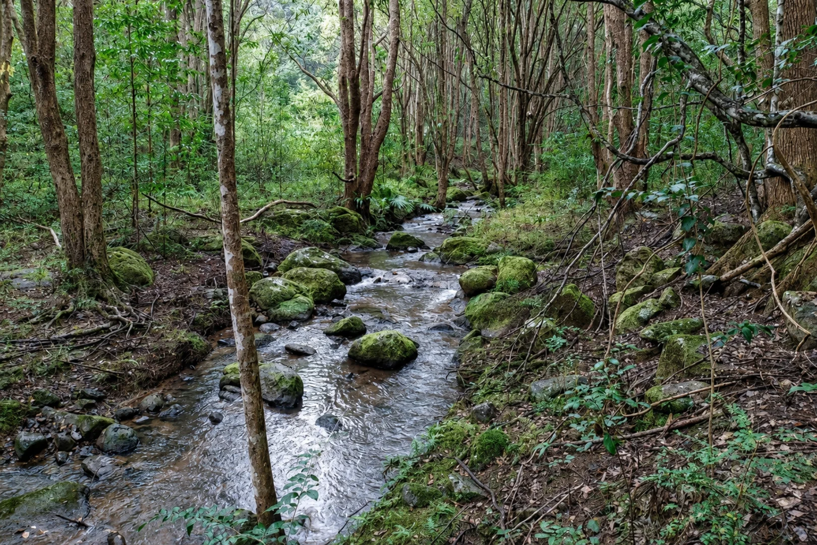 Image 15