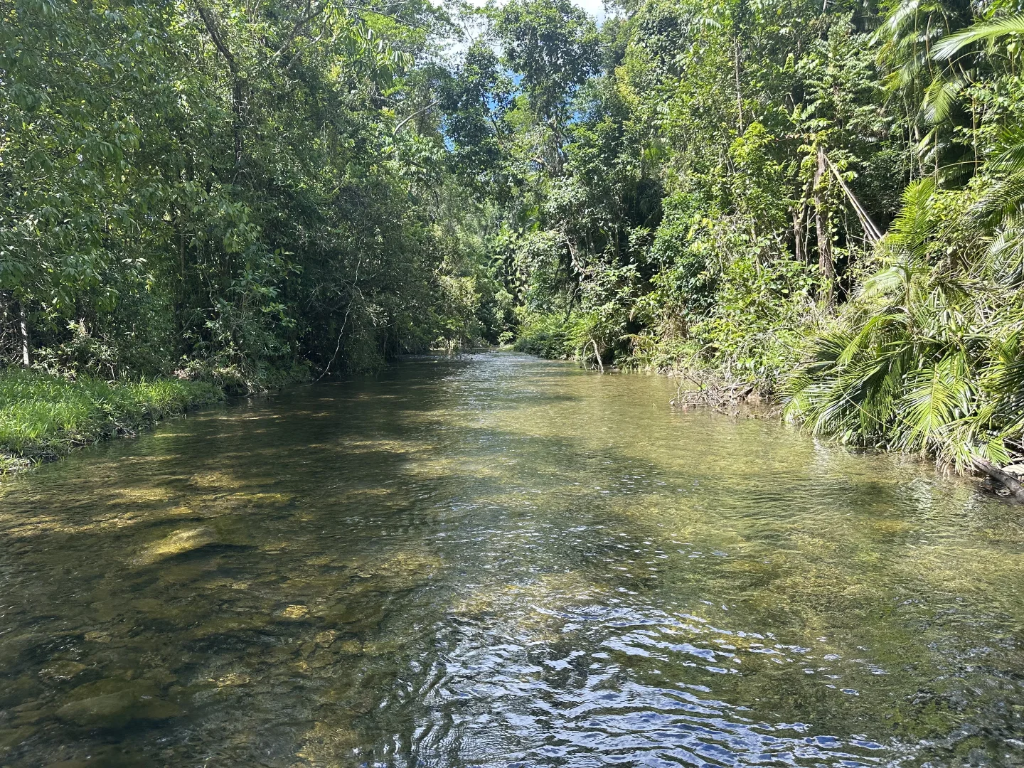 Image 14