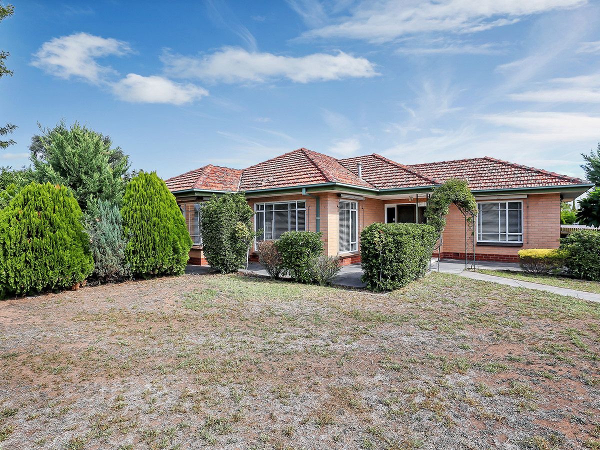 12 Ross Road, Hectorville SA 5073, Image 0
