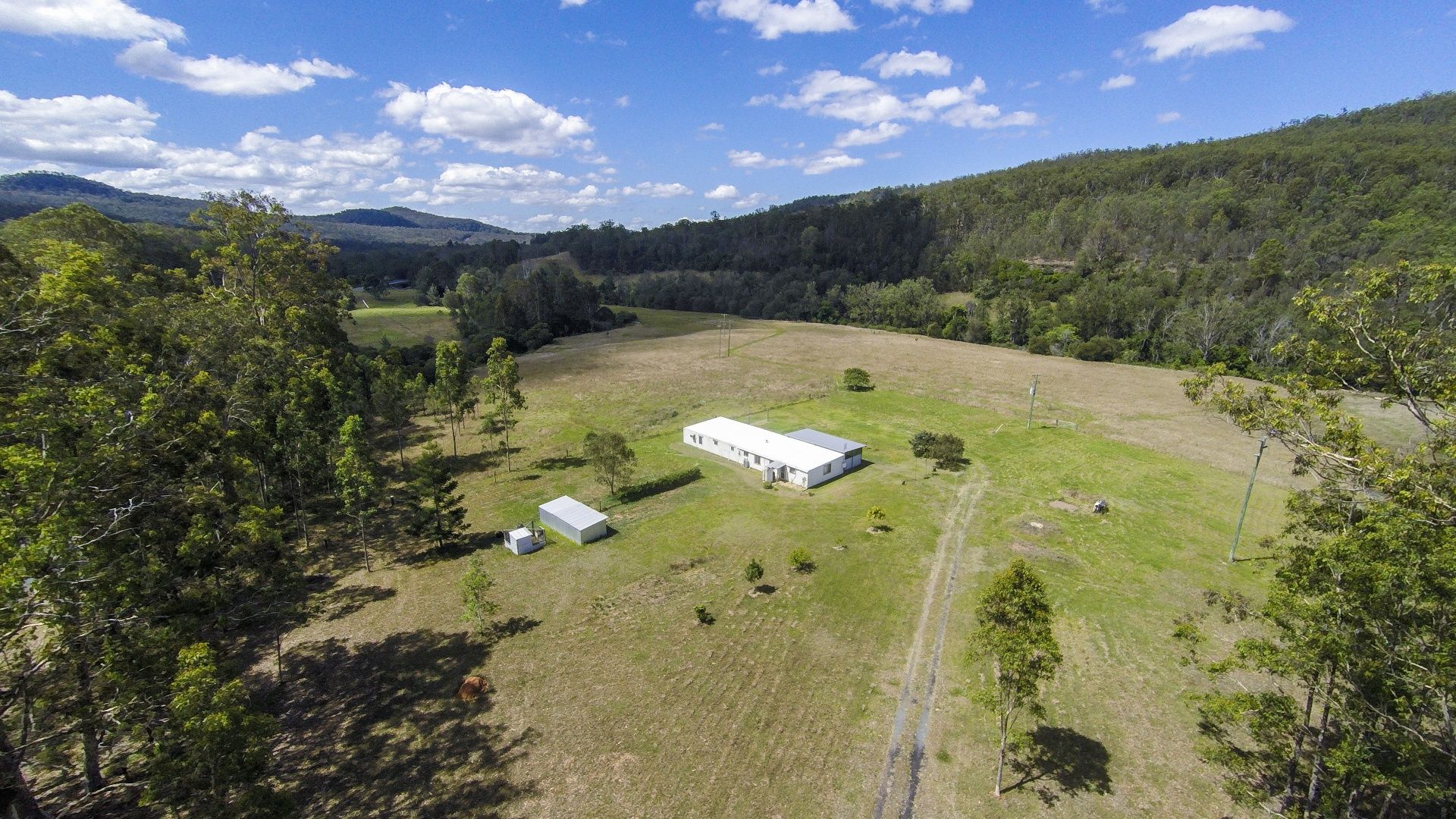 2917 Armidale Road, Blaxlands Creek NSW 2460, Image 0