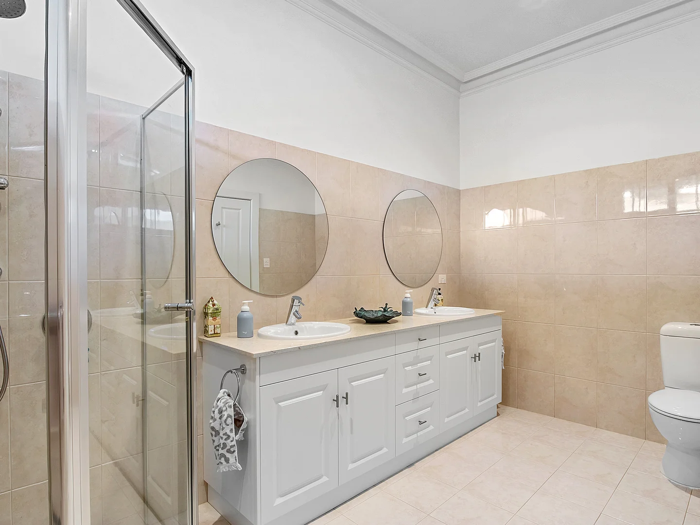 Image 15
