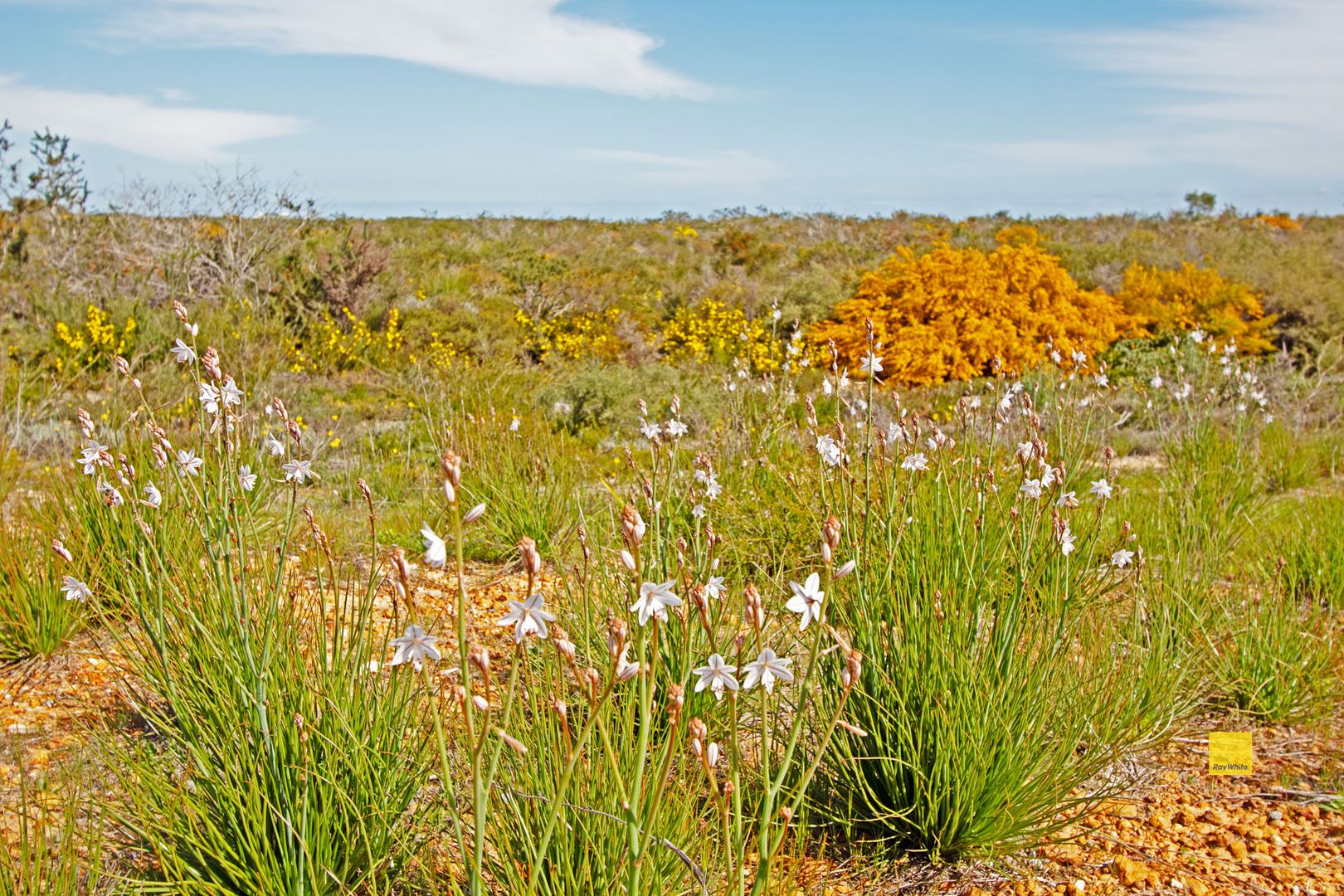 Lot 196 Jurien Bay Vista, Jurien Bay WA 6516, Image 2