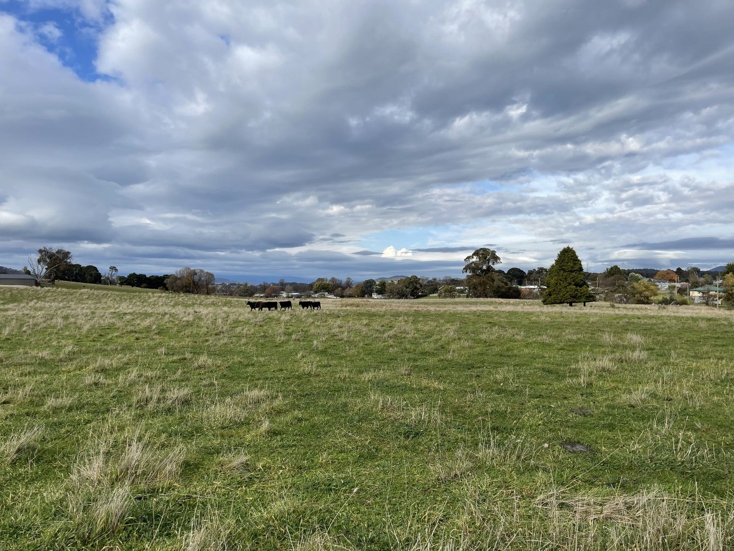 Lot 138 Chisholm Street, Tumbarumba NSW 2653, Image 0