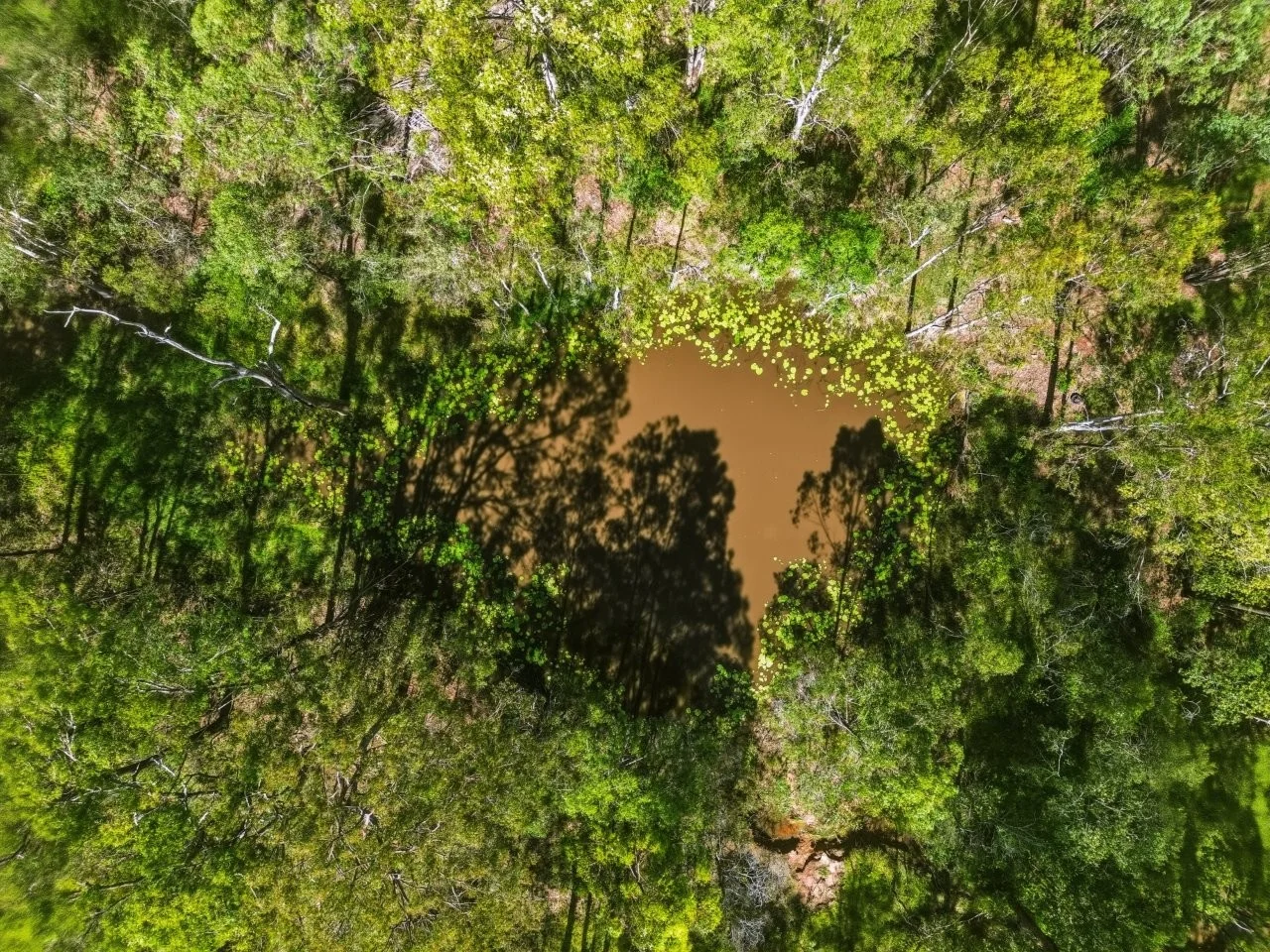 Additional image 28 of 138 Donald Drive, Curra QLD 4570