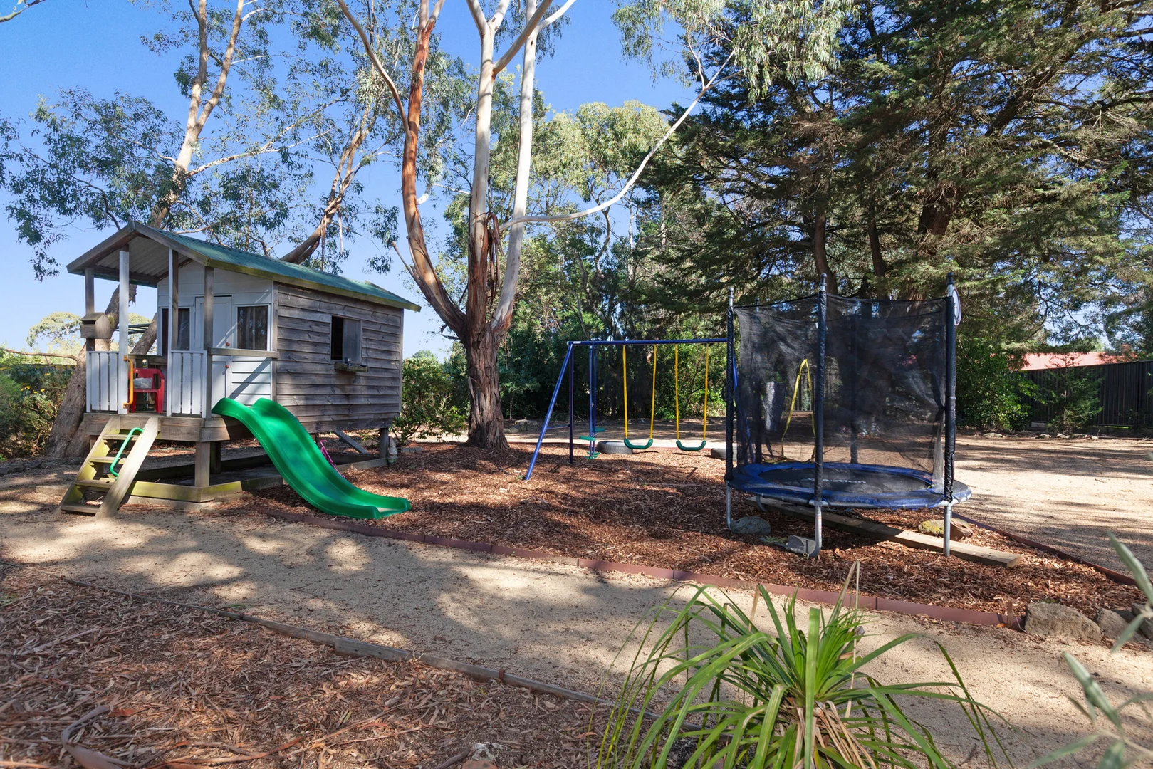 Image 25