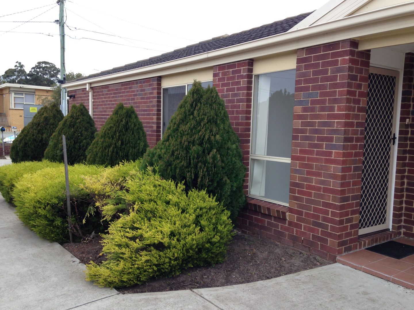 1/40 Ernest Street, Bell Post Hill VIC 3215 Apartment For Rent 370