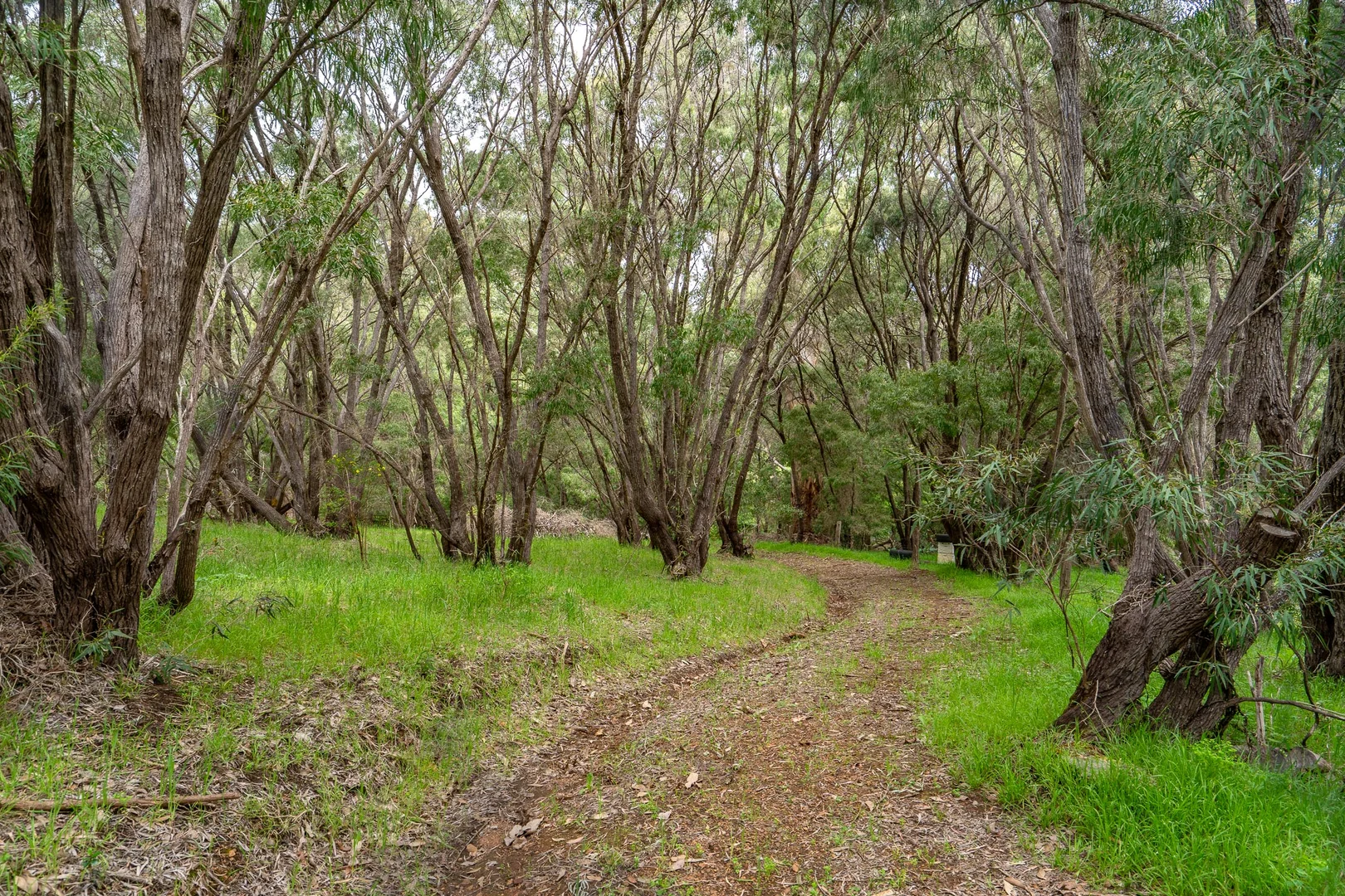 Image 9