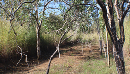 Picture of 1780 Coach Road, BATCHELOR NT 0845