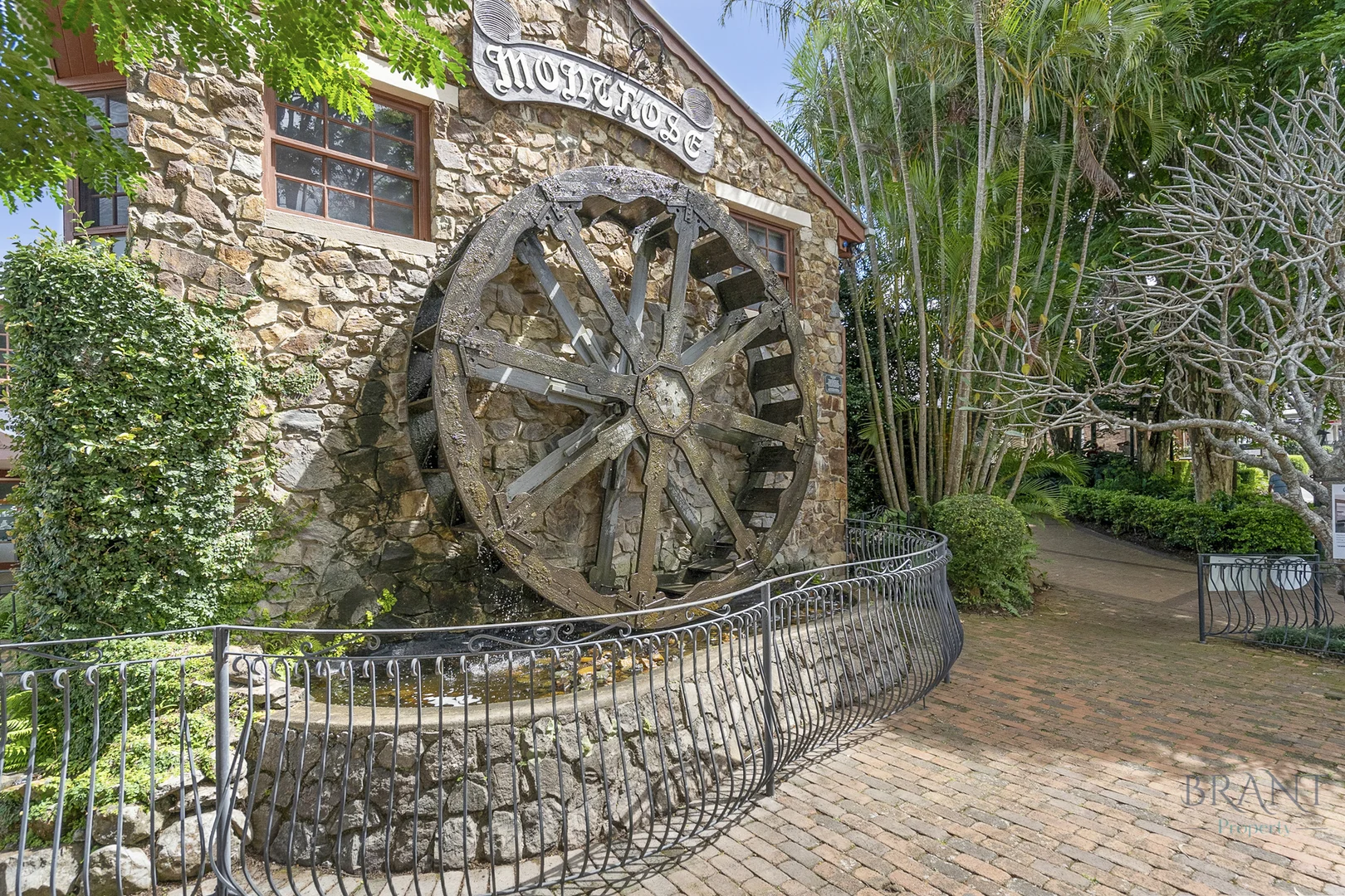 Image 11