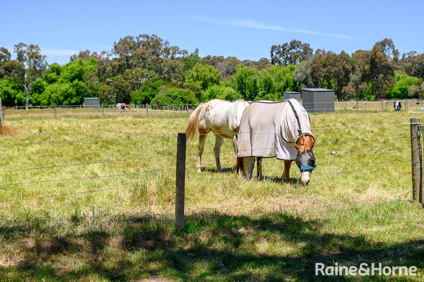 134 Size Road, Oakbank SA 5243, Image 2