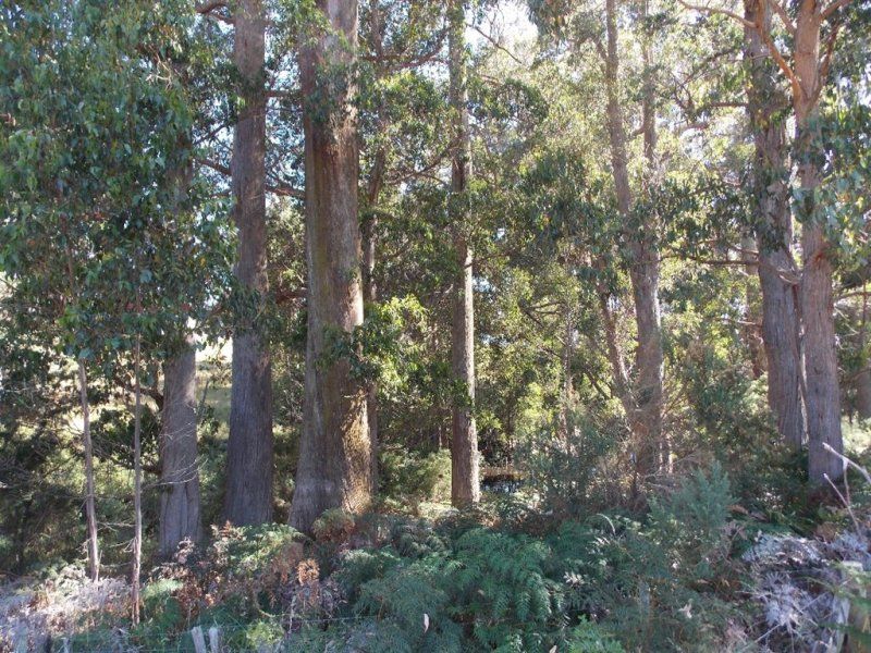 Lot 4 Hardys Road, Penguin TAS 7316, Image 2