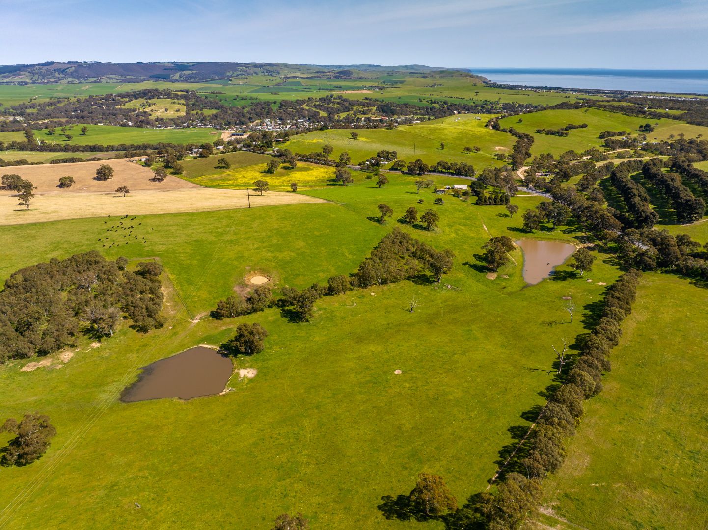 Lot 201 (Proposed), 5985 Main South Road, Yankalilla SA 5203, Image 2