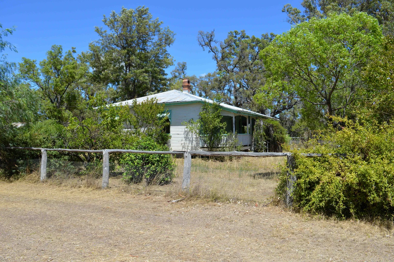 Image 6