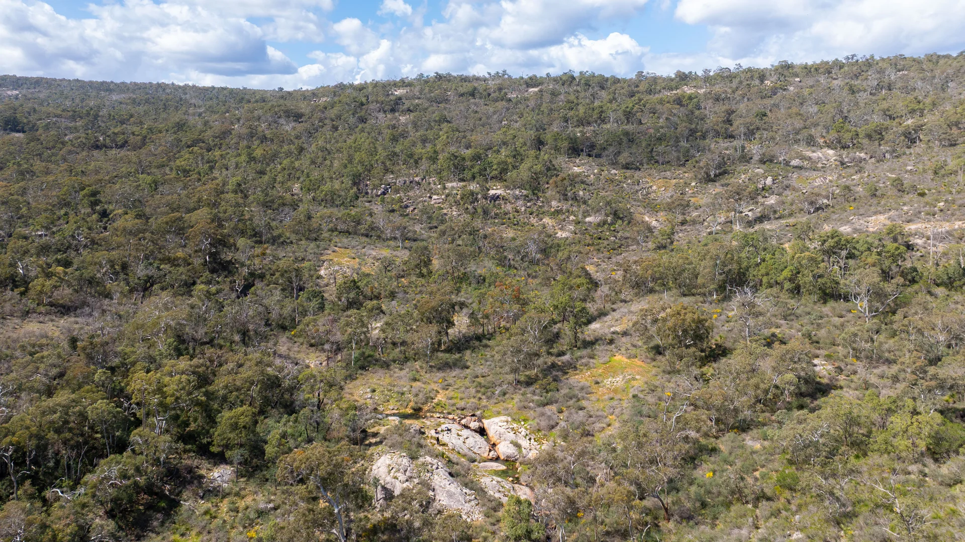 Image 18