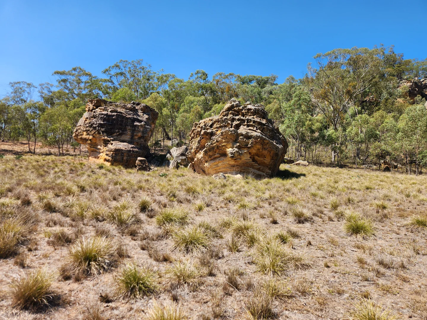 Image 45