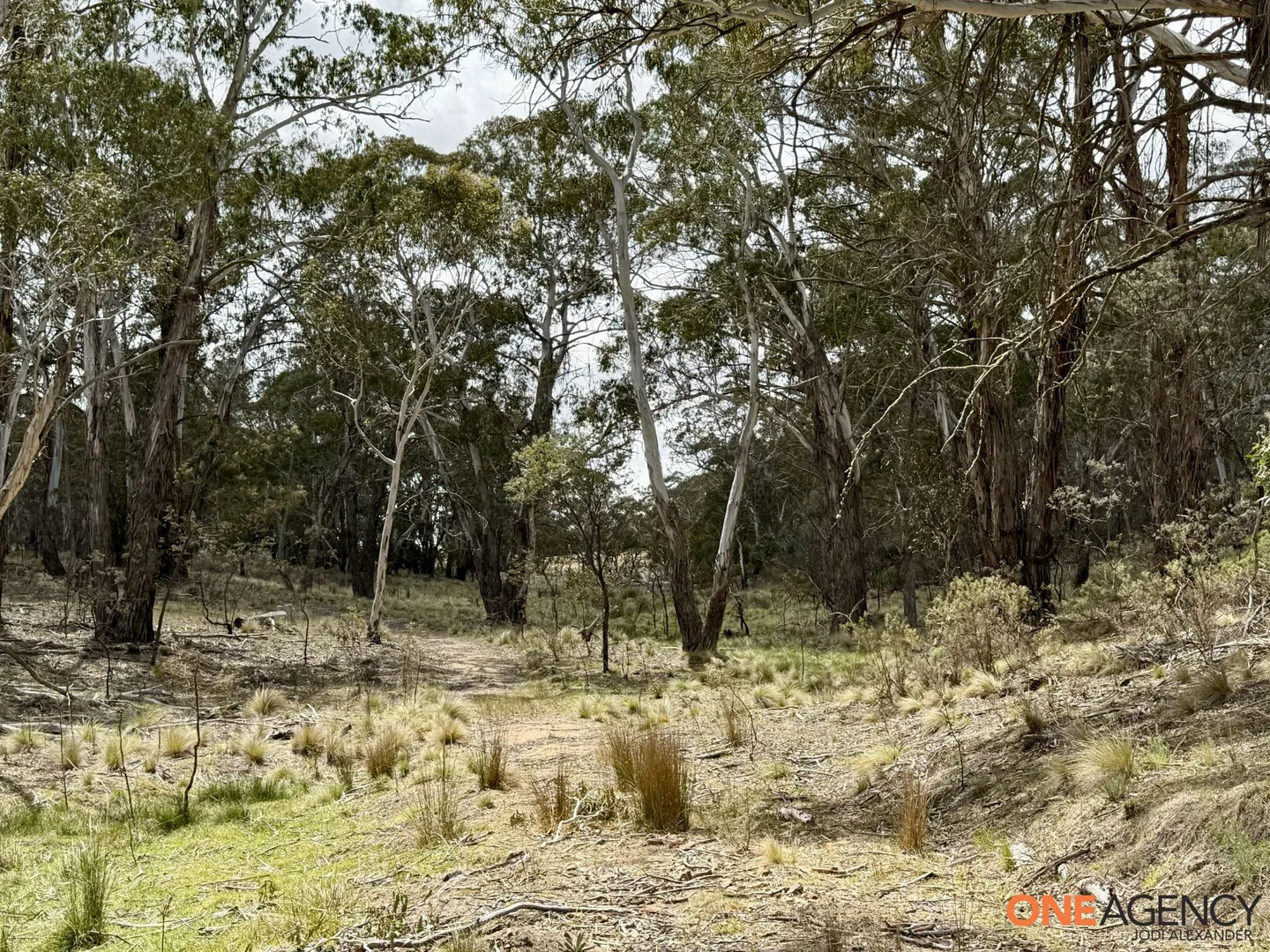 Image 14
