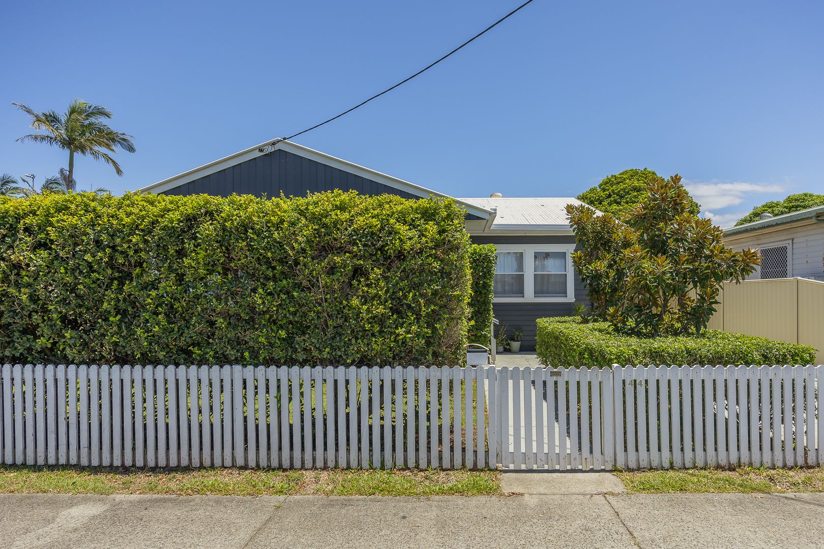 44 Kerr St, Ballina NSW 2478 House For Rent Domain