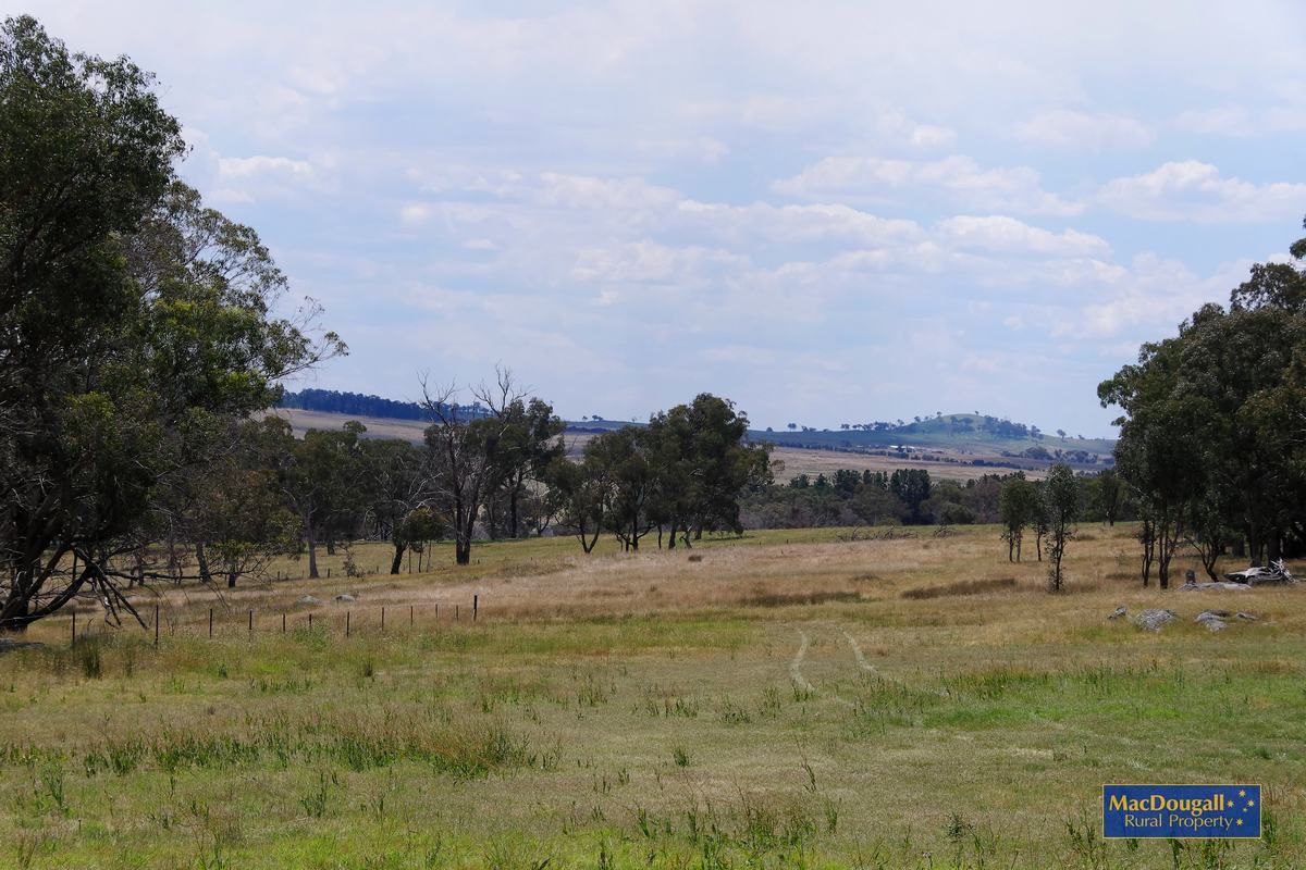 1 Nobby, Uralla NSW 2358, Image 2