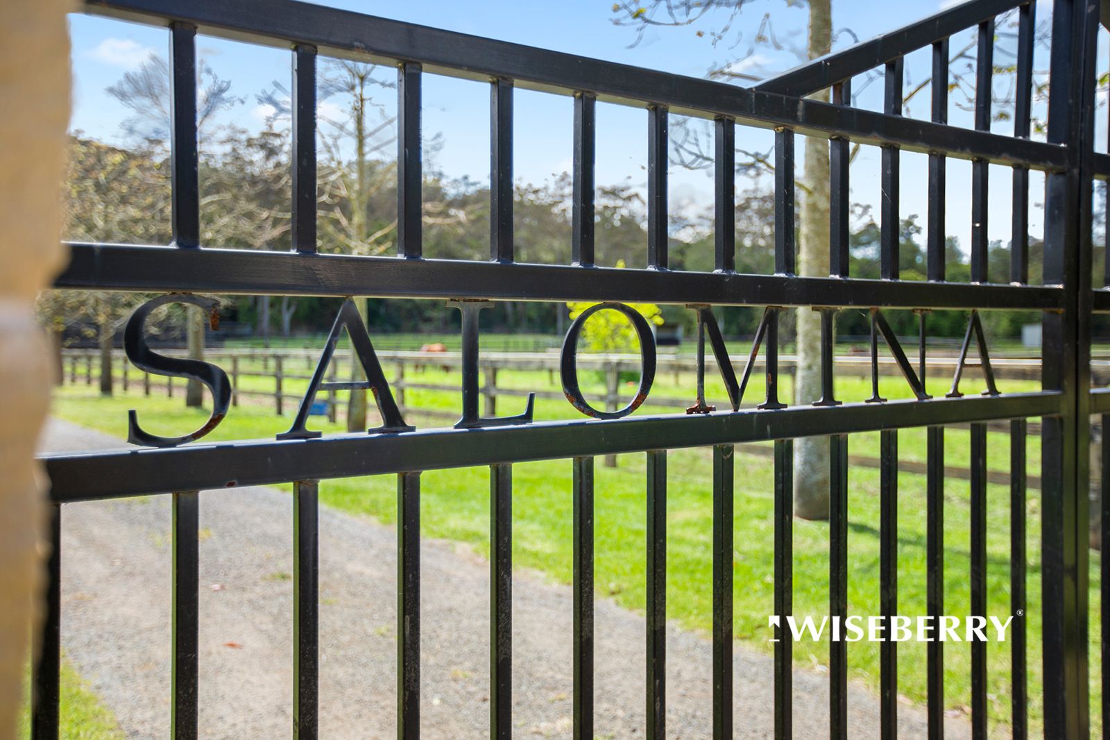 557 Yarramalong Road, Wyong Creek NSW 2259 House for Sale Domain