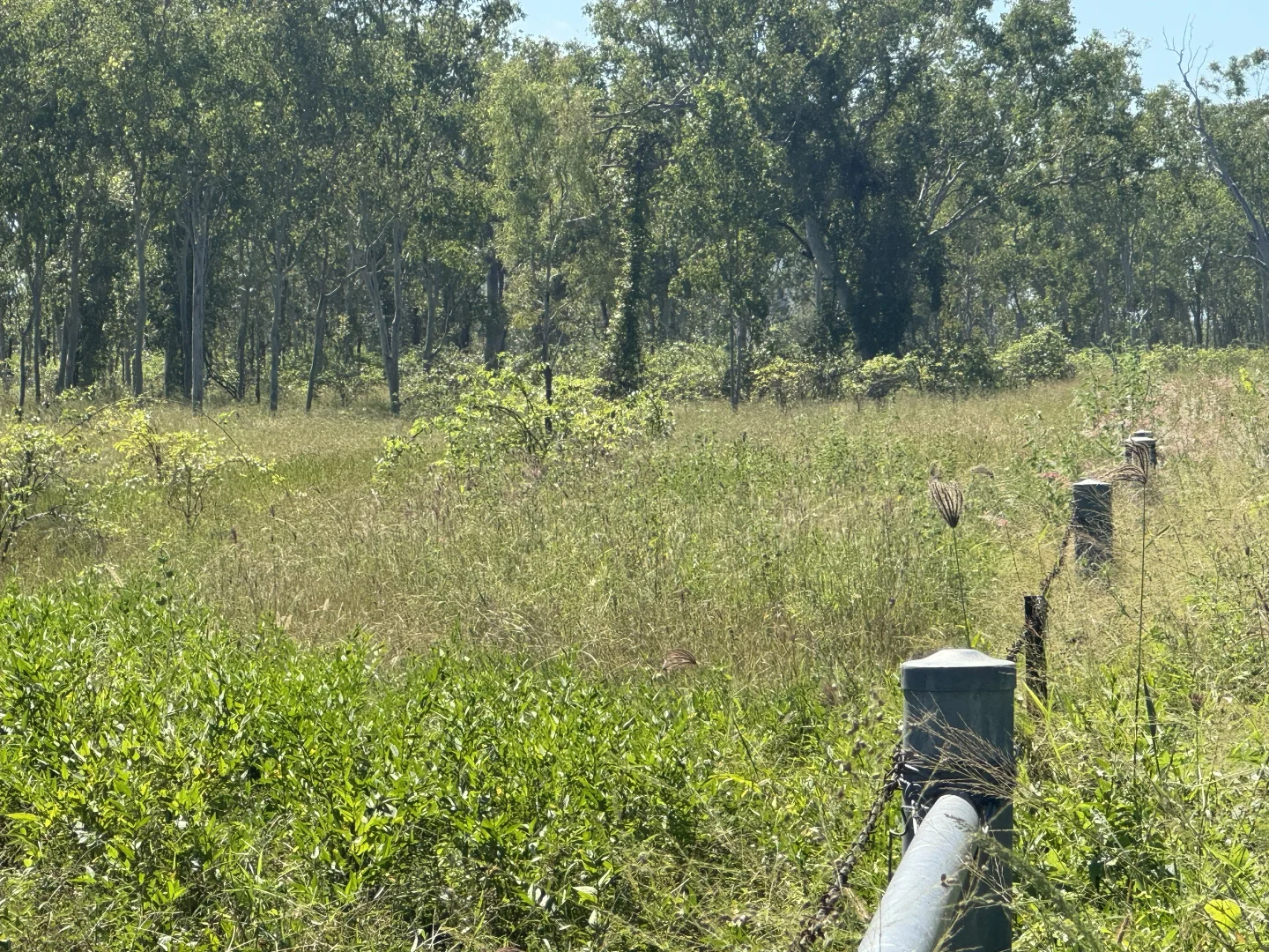 Image 13