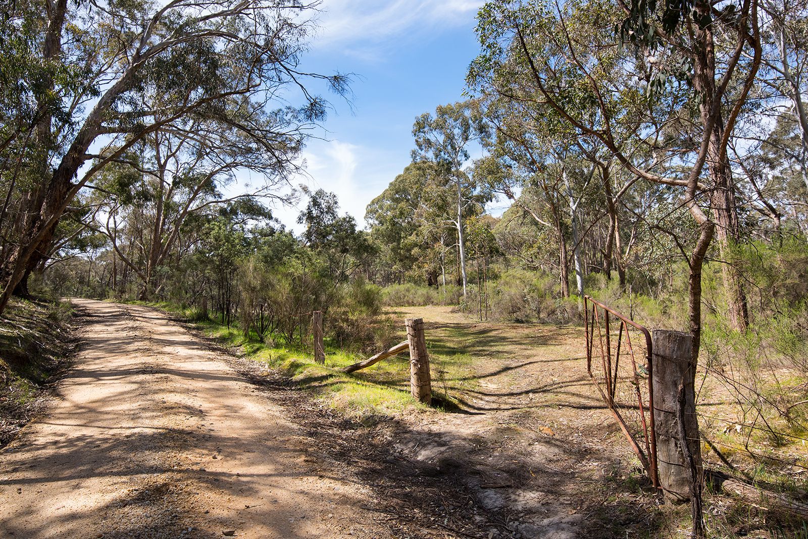 423 White Gum Track, Fryerstown VIC 3451, Image 2